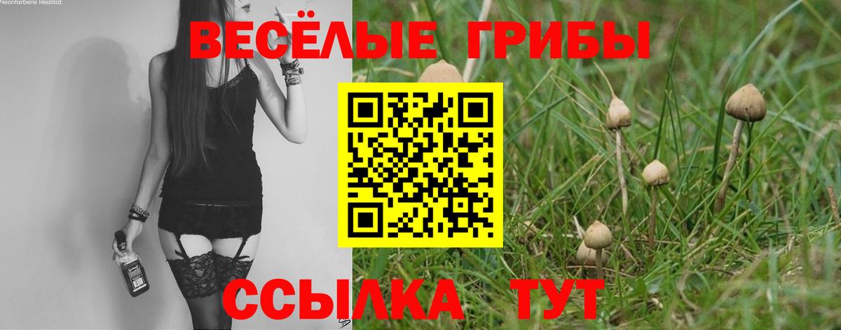 Чехов  Псилоцибиновые грибы ЛСД  Галлюциногенные грибы прущие грибы  Вход с VPN 